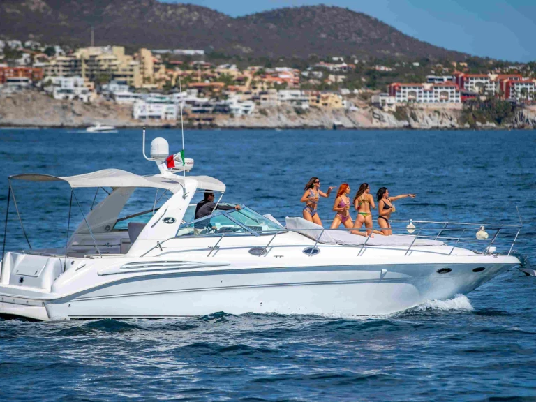 Wynajem Motorówka w Cabo San Lucas - Sea Ray Sea Ray 420 Sundancer