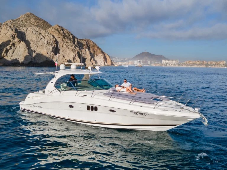 Wynajem Motorówka Sea Ray z patentem 