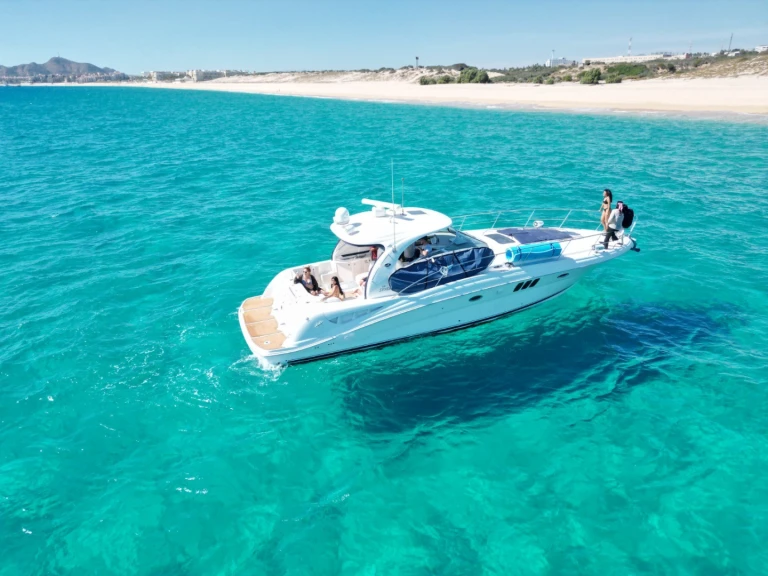 Wynajem w Cabo San Lucas- Sea Ray Sea Ray 455 Sundancer na SamBoat