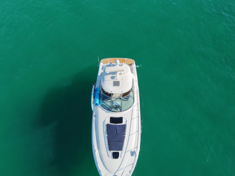Sea Ray Sea Ray 455 Sundancer między profesjonalistami a osobami prywatnymi w Cabo San Lucas