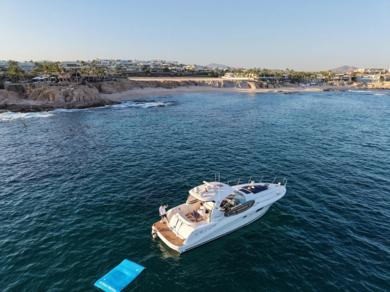 Wynajem Motorówka w Cabo San Lucas - Sea Ray Sea Ray 455 Sundancer