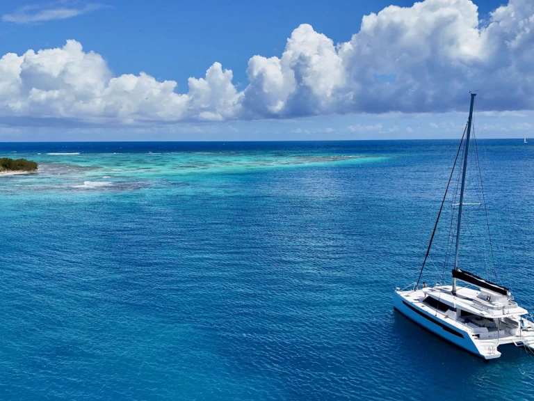 Wynajem w Tortola- Leopard RESILIENCE na SamBoat