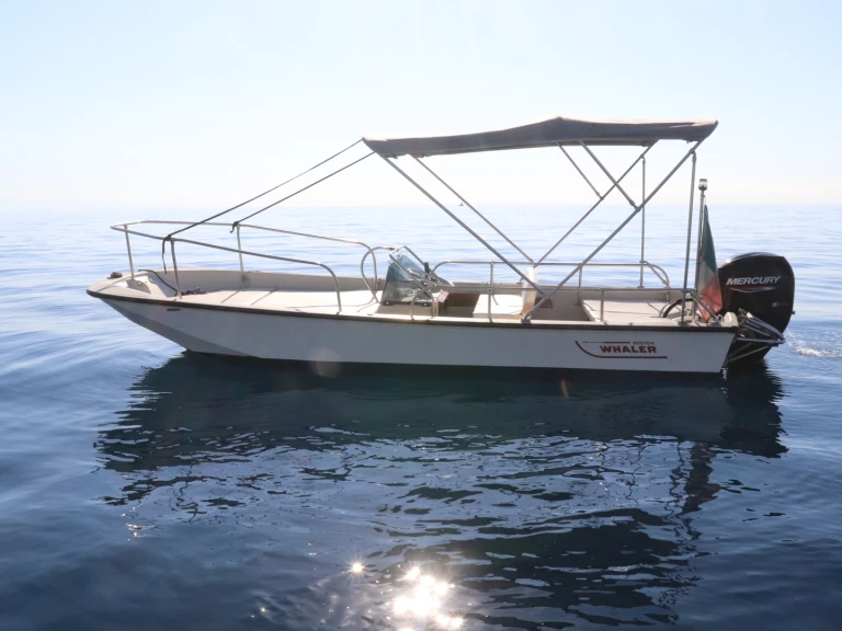 Wynajem łodzi Boston Whaler Boston Whaler 17 w Riposto na SamBoat 