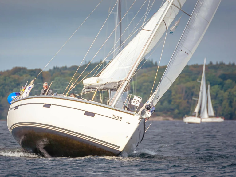 Wynajem łodzi Bavaria Cruiser 37 w Flensburg na SamBoat 